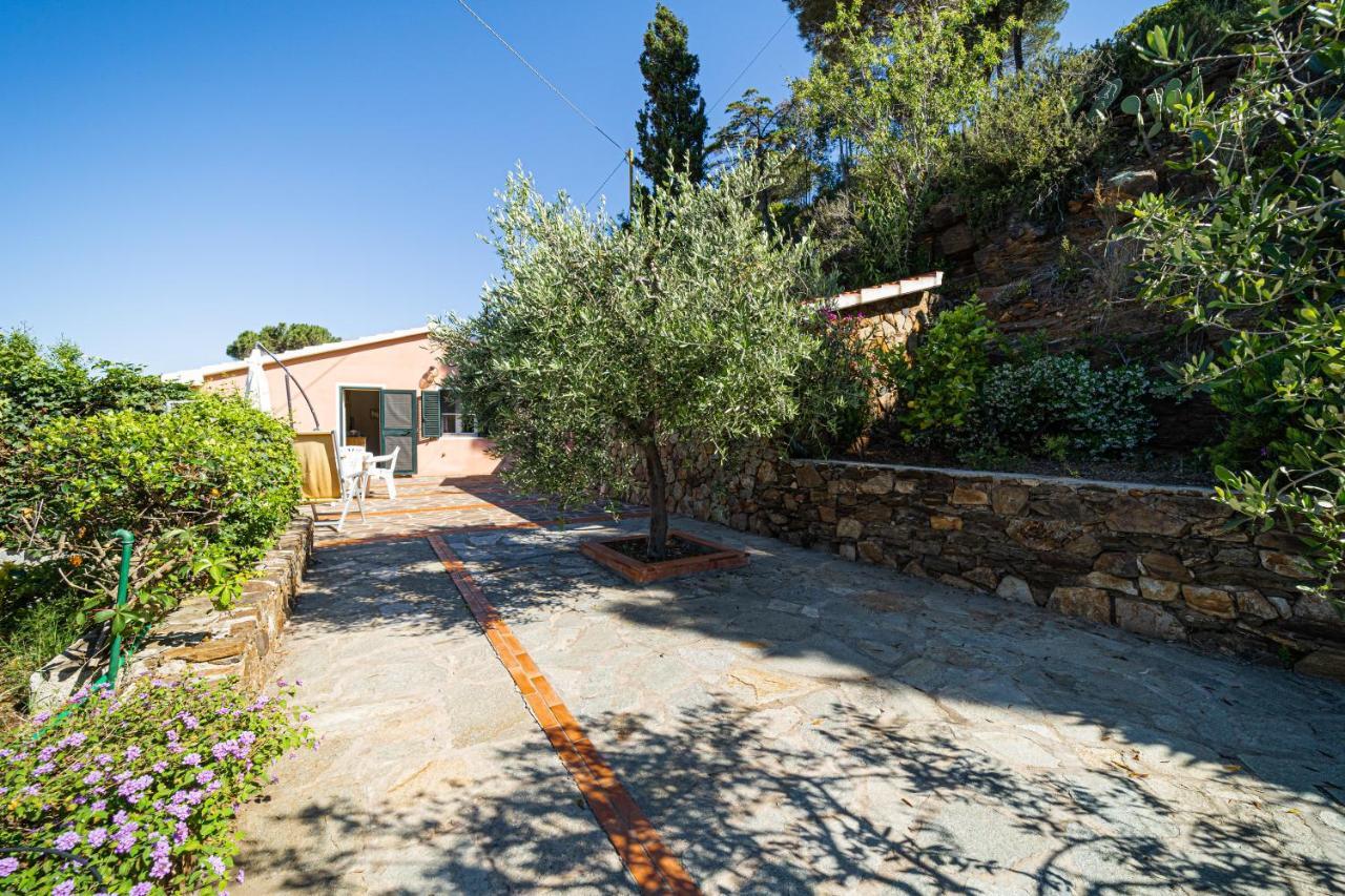 Appartamenti Vista Mare - Goelba Capoliveri Kültér fotó